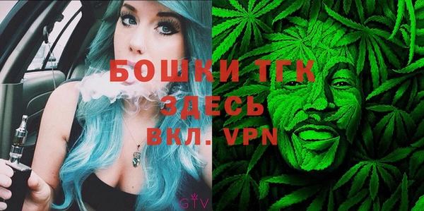 экстази Няндома