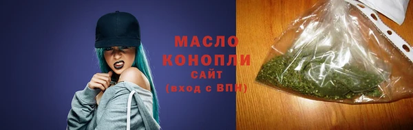 крисы Новодвинск