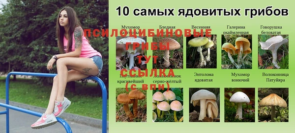 крисы Новодвинск