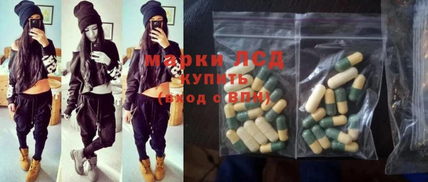 крисы Новодвинск