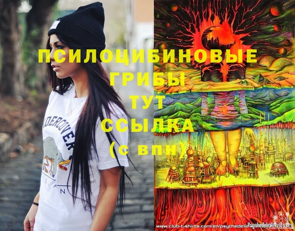 экстази Няндома